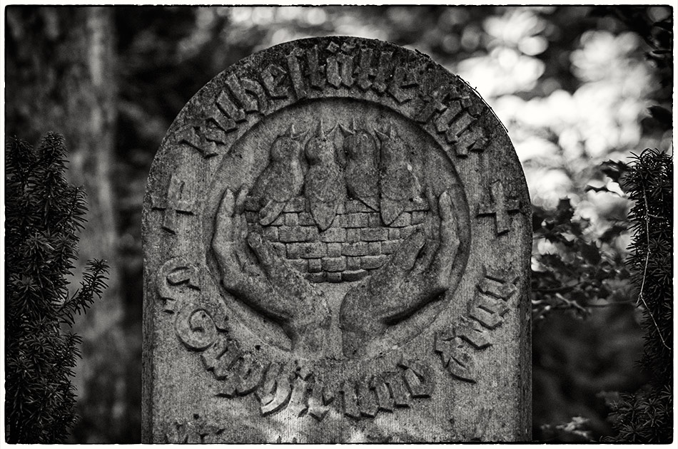 Friedhof Ohlsdorf — Michael Wassenberg