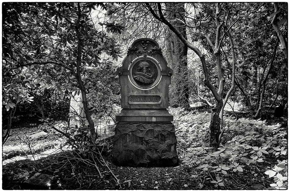 Friedhof Ohlsdorf · Syndicus Dr. Leo (1899)