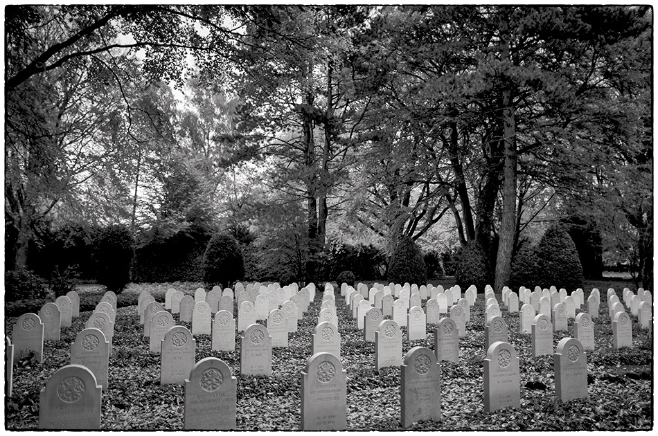Kriegsgräberstätte der niederländischen Opfer · Friedhof Ohlsdorf · Michael Wassenberg · 21.11.2018